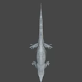 Realistic 3D Model of Komodo Dragon With Detailed Scales And Sharp Claws