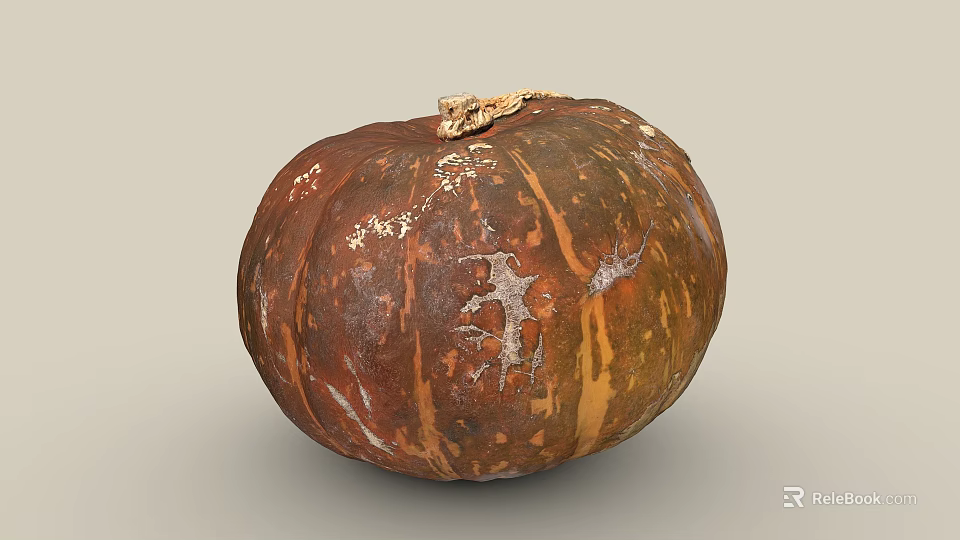 Fresh Orange Brown Pumpkin With Natural Texture And Stem On Top 3d model 