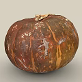 Fresh Orange Brown Pumpkin With Natural Texture And Stem On Top