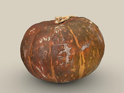 Fresh Orange Brown Pumpkin With Natural Texture And Stem On Top 3d model