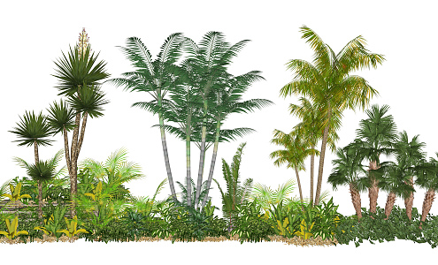 Modern Tree Tropical Landscape Plant Cluster Shrubbery Plant Cluster 3d model