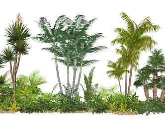 Modern Tree Tropical Landscape Plant Cluster Shrubbery Plant Cluster 3d model