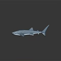 Artistic Blue Whale Shark Sculpture With White Spots And Lifelike Design Details