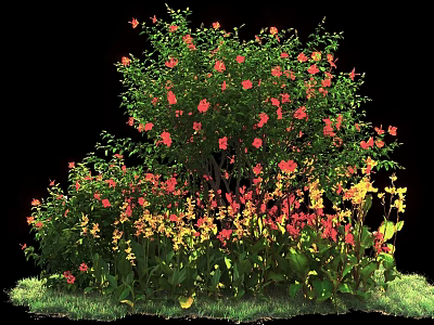 Vibrant Shrub With Red And Yellow Flowers Green Leaves And Grassy Base 3d model