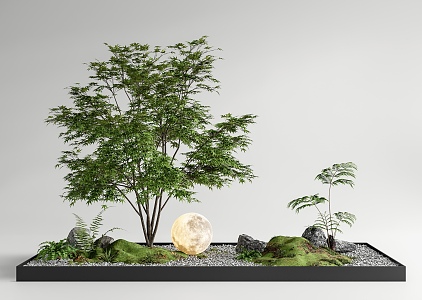 Courtyard sketch landscape landscaping plant combination stone landscape tree moon light red maple 3d model