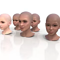 Multiple Realistic Bald Human Head Models With Detailed Facial Features