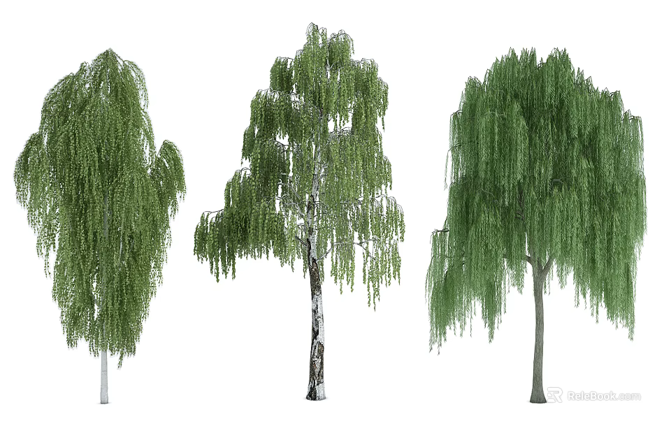Different Types of Ornamental Trees With Green Leaves and Weeping Branches 3d model 