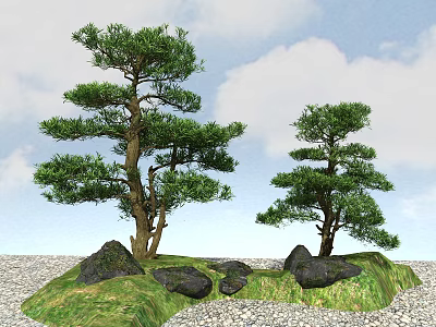 Two Artistic Bonsai Trees with Green Foliage Rocks and Grass Under Blue Sky 3d model