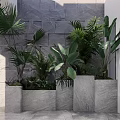 Bonsai Potted Plants In Stone Planters Against Textured Stone Wall Indoor