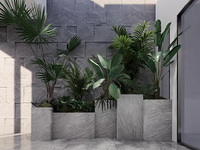 Bonsai Potted Plants In Stone Planters Against Textured Stone Wall Indoor 3d model