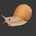 Giant Yellow Snail with White Body and Long Antennae Moving on Dark Shiny Surface