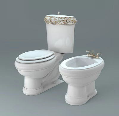 White Toilet with Decorative Tank Top and Bidet Featuring Gold Faucet 3d model