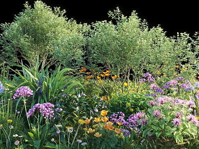 Lush Green Shrubs In Garden With Colorful Purple And Yellow Flowers 3d model