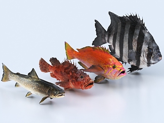 Fish Goldfish Ornamental Fish Freshwater Fish Carp Stone Carving Sunfish Scorpon Fish 3d model