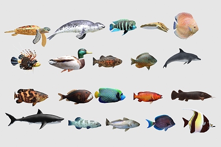 Modern Fish 3d model