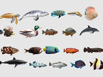 Modern Fish 3d model