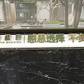 Elegant 3D Letters Signage at Building Entrance with Green Logo Trees and Water Feature