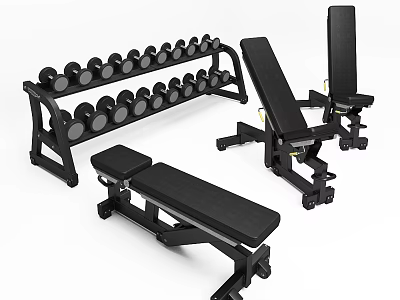 Fitness Equipment For Home Gym With Dumbbell Rack Adjustable Bench And Dumbbells 3d model