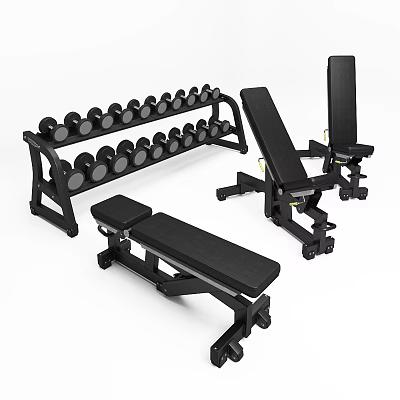 Fitness Equipment For Home Gym With Dumbbell Rack Adjustable Bench And Dumbbells 3d model