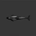 Detailed Black and White Sleek Dolphin Sculpture on Dark Reflective Surface