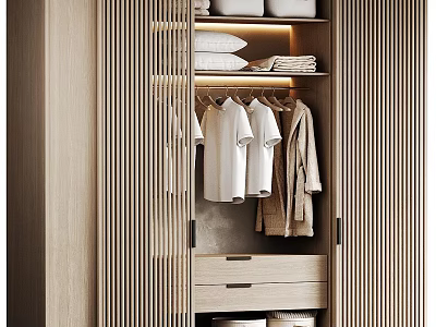 Modern Wardrobe Interior Design With Hanging Clothes Folded Linens And Storage Drawers 3d model