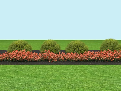 Vibrant Red Flowers And Round Green Shrubs In Front Of Lush Green Grass 3d model