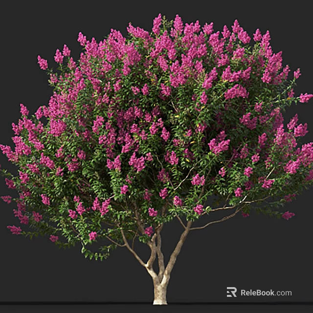Blooming Pink Flowering Shrub With Green Leaves And Wooden Branches 3d model 