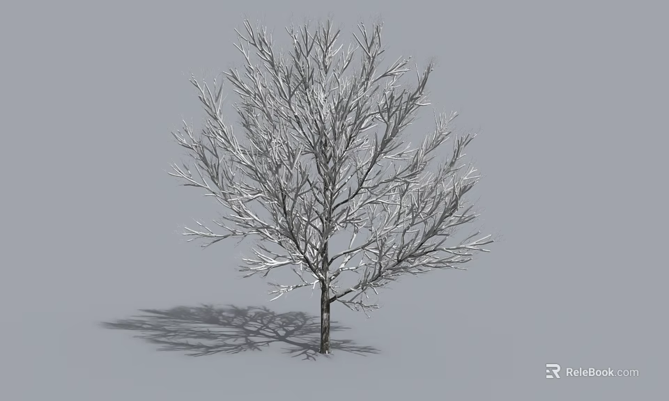 Leafless Arbor With Snow Covered Branches On Gray Background And Shadow 3d model