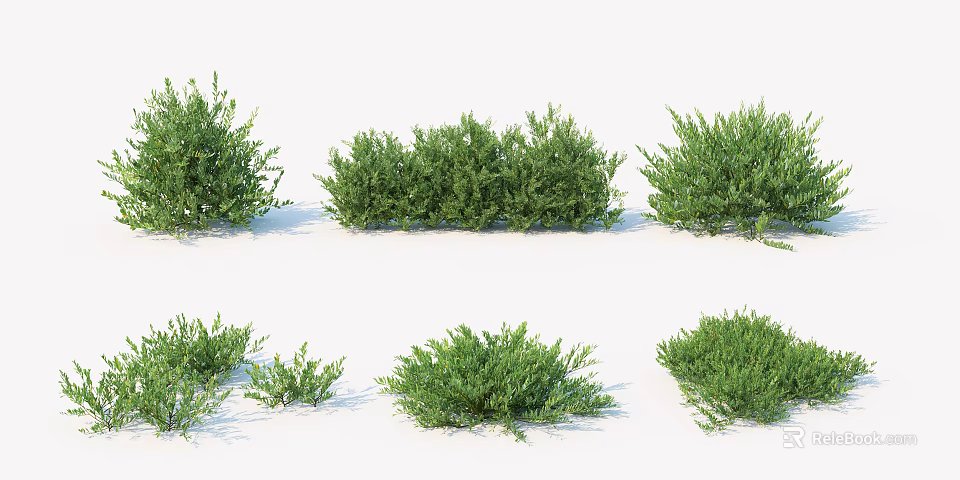 Different Types of Green Shrubs with Various Sizes and Foliage for Garden Landscaping 3d model 
