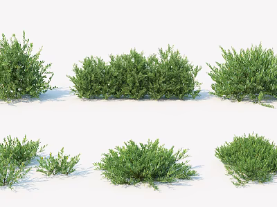 modern shrub shrub grass 3d model