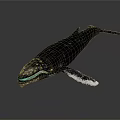 Whale Model In Swimming Pose With White Fin Tips On Dark Background 3d model