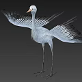 Flying Animal Crane With Spread Wings White Head And Orange Beak Gray Body Long Legs