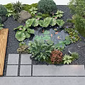 Lush Courtyard Garden with Koi Fish Pond Water Lilies Wooden Deck and Stone Path