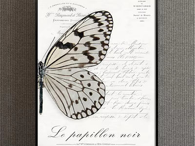 Vintage Framed Butterfly Painting With Black White Spots Stripes On Handwritten Paper 3d model