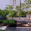 Modern Garden Landscape Design With Green Lawn Trees Stones And Sofa Coffee Table