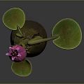 Cartoon Scene Featuring Pink Flower Bud Green Curly Stem Round Leaves And Brown Pot