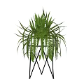 Modern Fern Bonsai Potted Plant With Metal Stand For Indoor Decor
