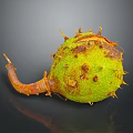 Spiky Green Plant Fruit With Brown Spots And Withered Stem On Dark Background With Reflection 3d model