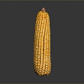 corn corn cartoon corn cartoon food food grain crops 3d model