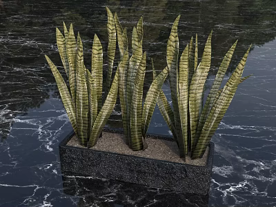 Green Slender Textured Plants In Black Marble Square Pot On Dark Water Wave Countertop 3d model