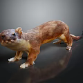 Weasel Sculpture With Brown And Yellow Fur Standing On Black Background