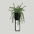 Modern Bonsai Potted Plant With Hanging Foliage In Black Pot On Metal Stand