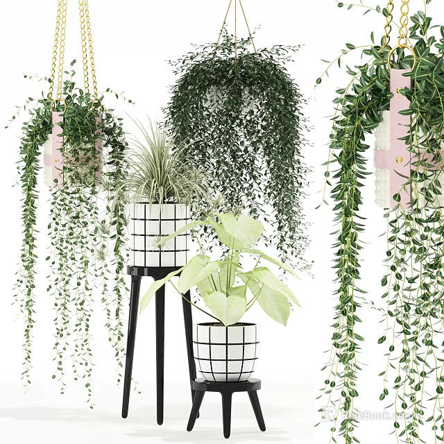Decorative Potted Plants On Stands With Hanging Vines And Lush Green Leaves 3d model 