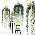 Decorative Potted Plants On Stands With Hanging Vines And Lush Green Leaves