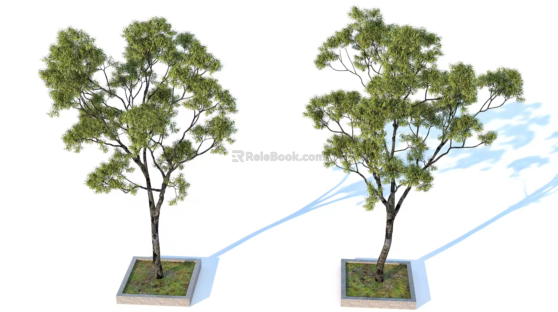 landscape tree pool green plant trees 3d model