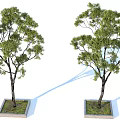 landscape tree pool green plant trees 3d model