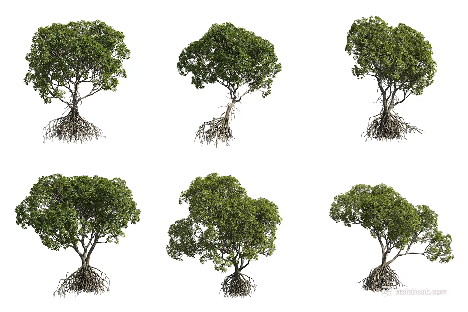 Various Arbor Trees With Exposed Roots And Green Canopies In Different Shapes 3d model 