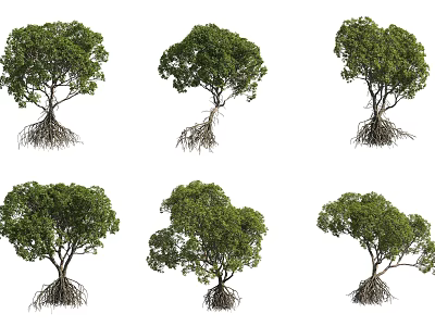 Various Arbor Trees With Exposed Roots And Green Canopies In Different Shapes 3d model