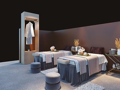 Luxury Massage Beds In Elegant Spa Room With Stools Flower Vases And Coat Hanger 3d model