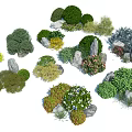 Various Types Of Decorative Garden Shrubs With Stones And Green Foliage